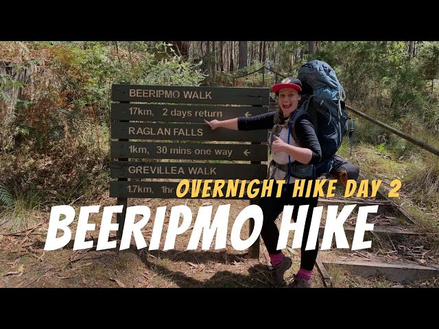 First overnight hike - Beeripmo Walk day 2-  WILD ECHIDNA SIGHTING!
