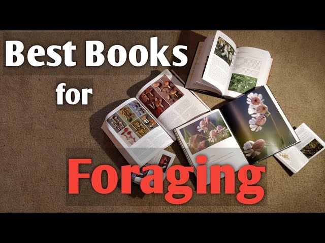 Best books for foraging