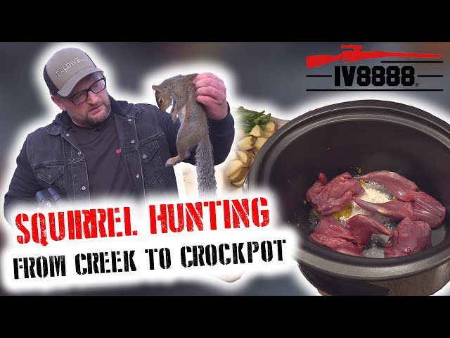 Squirrel Hunting From Creek to Crockpot