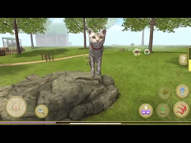 Little Kitten Simulator Adventure Educational Games - Play Fun Cute Kitten Pet Care Gameplay #625