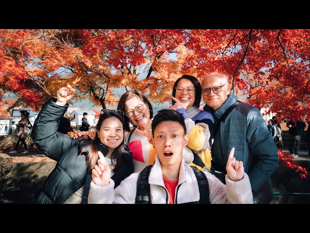 Feeling stressed about travelling with my PARENTS-IN-LAW to Japan