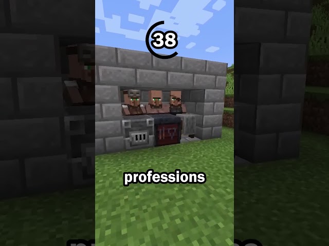Guess the Minecraft item in 60 seconds 5
