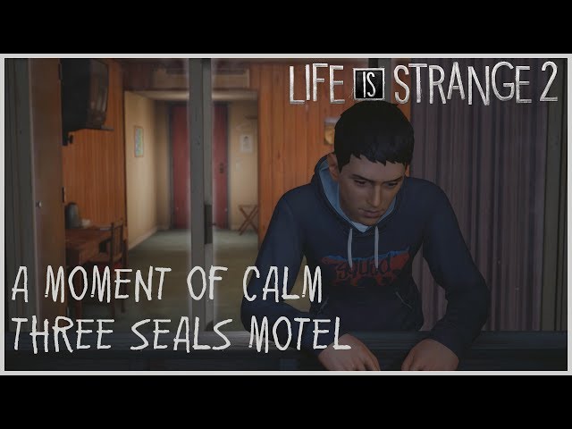 A Moment of Calm - Three Seals Motel