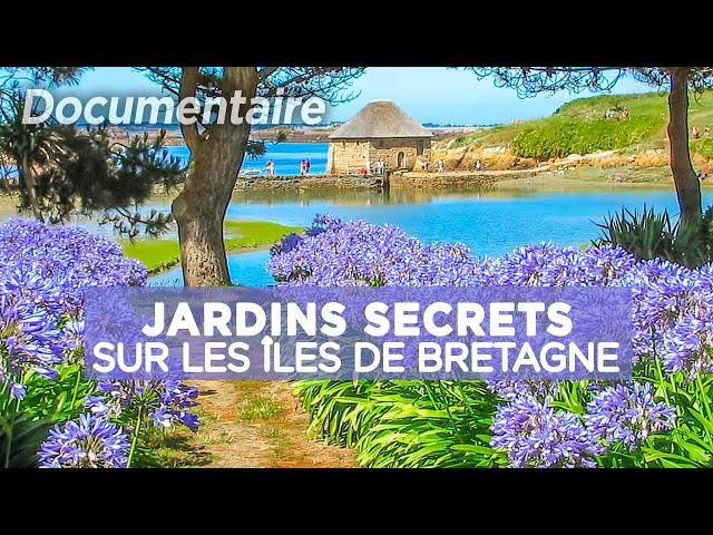 Jardins secrets sur les îles de Bretagne : Bréhat, Batz, Belle-Île-en-Mer - Des Racines et des Ailes