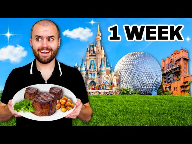 Eating Only Disney World Food For 1 Week (I spent $800)