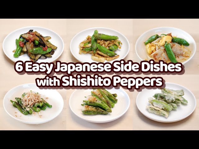 6 Easy 10 Min Japanese Side Dishes with Shishito Peppers Recipes