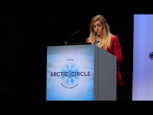The Consequences of Geopolitics for the Arctic Panel