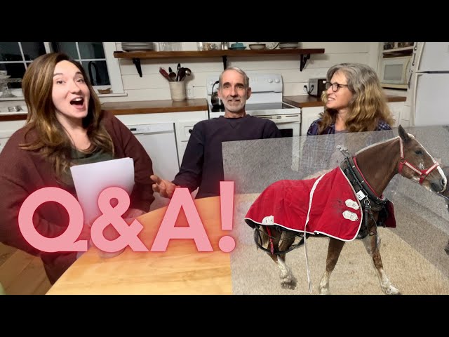 Q&A and our PLAN FOR LADY’S PREGNANCY!!