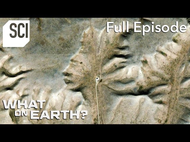 A Mysterious Face in the Canadian Badlands | What On Earth? (Full Episode)
