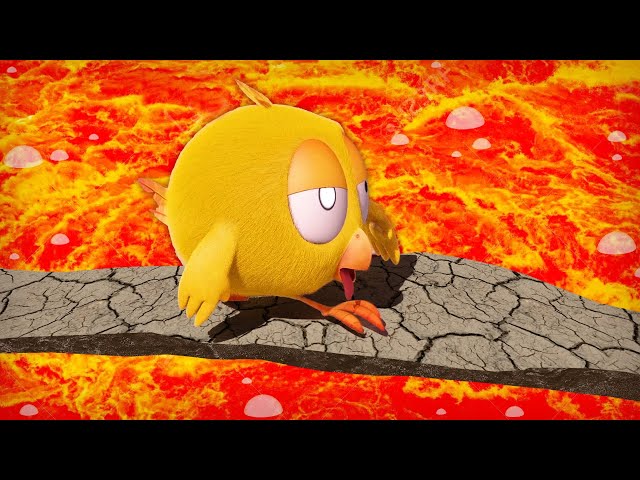 Where's Chicky? Funny Chicky 2022 🥵 THE FLOOR IS LAVA | Chicky Cartoon in English for Kids