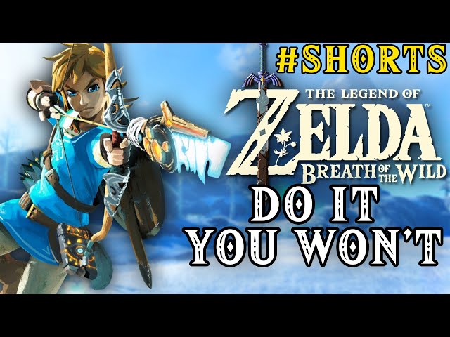 Do It You Won't - Zelda Breath of the Wild