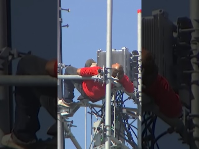A Florida Man decided to climb a Cell Tower at 1AM 🤨 He climbed down at 11AM into police custody.