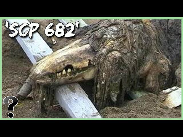 What If SCP 682 Was Real?