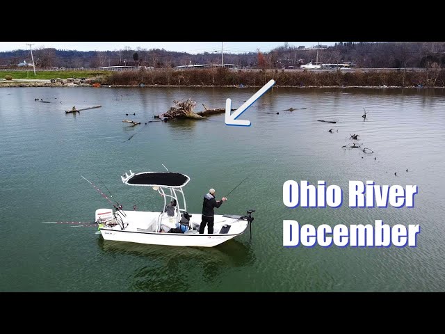 Insane December bite (Ohio river) fishing submerged trees, Catch & Cook