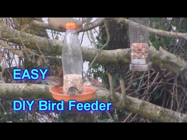 Easy Bird feeder from a plant pot tray and plastic bottle - 5 min DIY Project