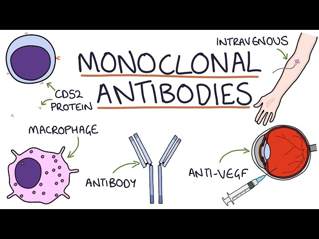 How do monoclonal antibodies work? Rituximab, infliximab, adalimumab and others