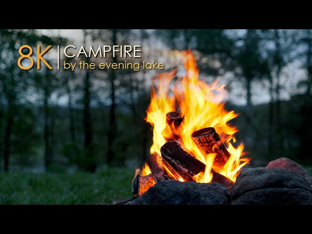 Soothing Campfire Sounds 🔥 Relaxation and Peaceful Sleep 😴 8K