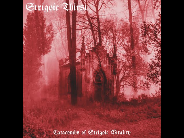 Strigoic Thirst   Catacombs of Strigoic Vitality 2024   youtube