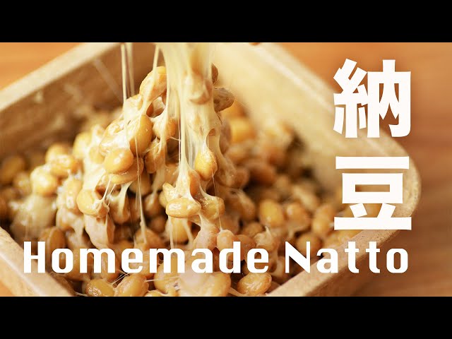 How to Make Natto at Home (The Complete Guide)