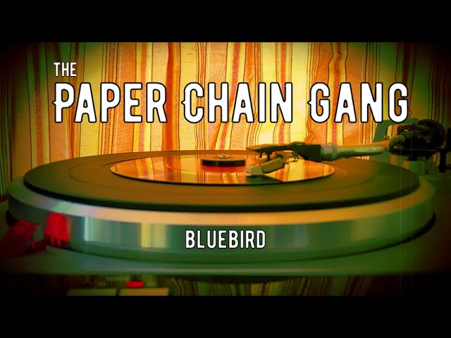 The Paper Chain Gang - Bluebird