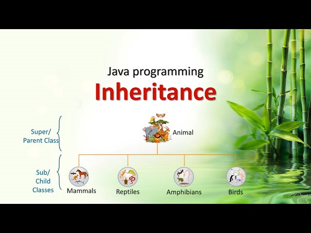 Inheritance in JAVA [Vehicle practice]