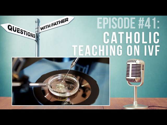 Catholic Teaching on IVF - Questions with Father #41 - Fr. Palko