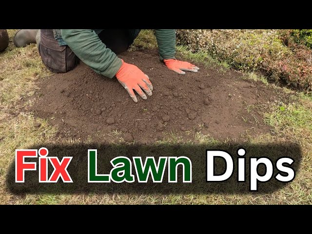 How To Fix Lawn Dips While Fixing Your Tired Lawn