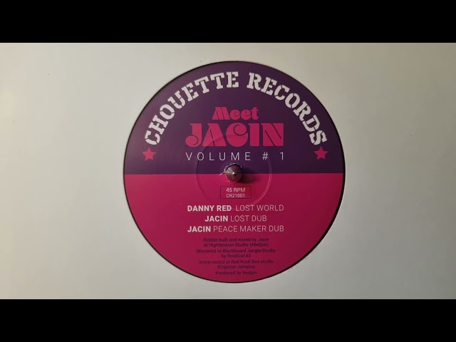 Lost World - Danny Red  /  Lost Dub - Peace Maker  /  Dub -Jacin