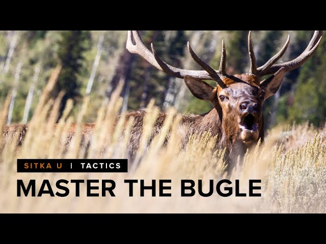 How to Elk Bugle - Learn The Fundamentals