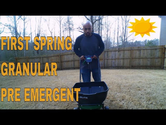 Granular pre emergent for lawns/ First spring pre emergent application
