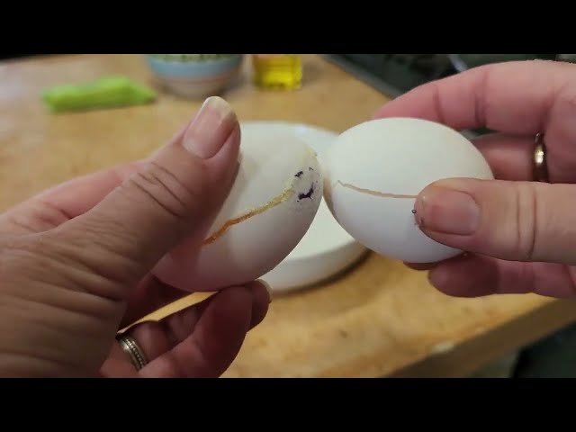 Freezing a Whole Egg in Shell