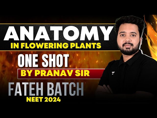 Anatomy in Flowering Plants | ONE SHOT | FATEH BATCH : NEET 2024 #neet2024