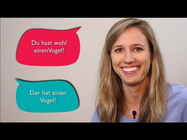 German in 1 Minute: Hast du einen Vogel???