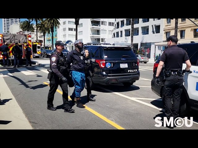 Santa Monica Police Arrest Louis Vuitton Store Robbery Suspect Along Ocean Avenue, Awaiting Charges