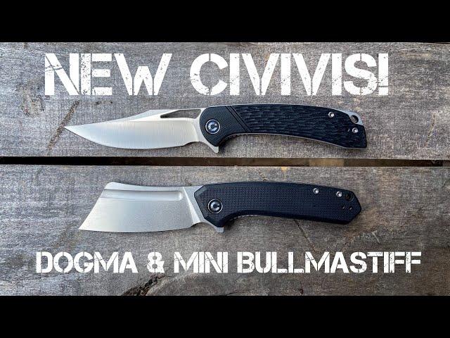 Civivi Dogma & Mini Bullmastiff: Full Reviews!!