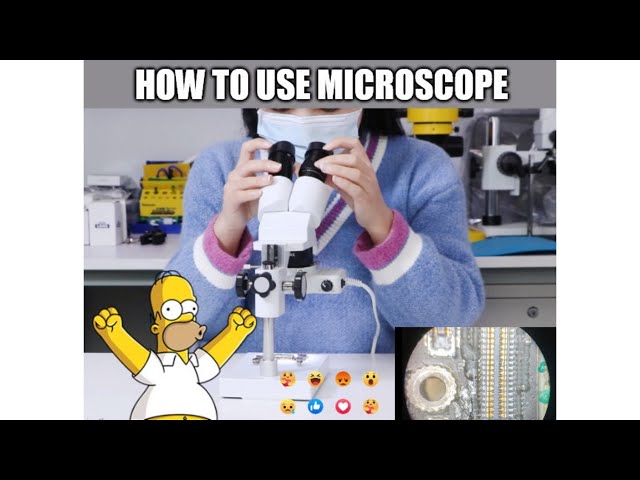 How to use Professional 20X 40X Binocular Stereo Microscope？ #short