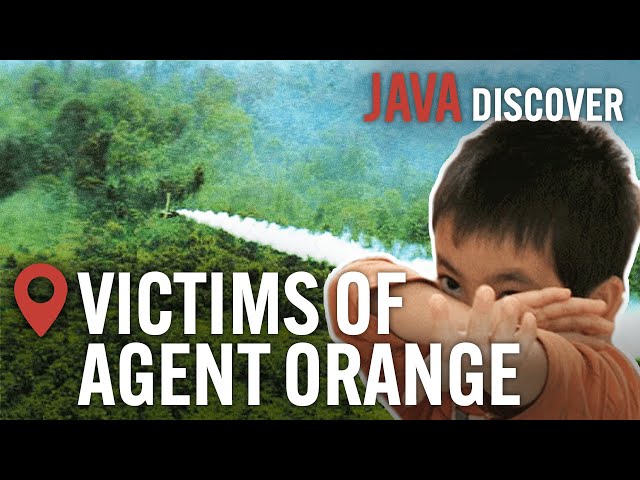 The Toxic Impact of Agent Orange: Child Victims of the US Chemical Warfare in Vietnam | Documentary