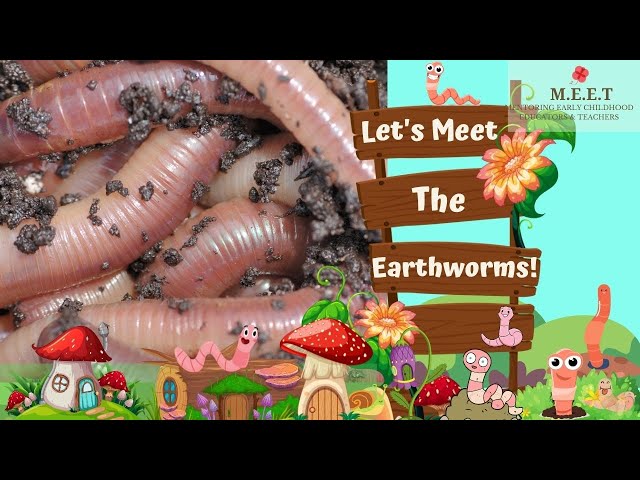 Let's Meet The Earthworms!  | online preschool educational video for kids