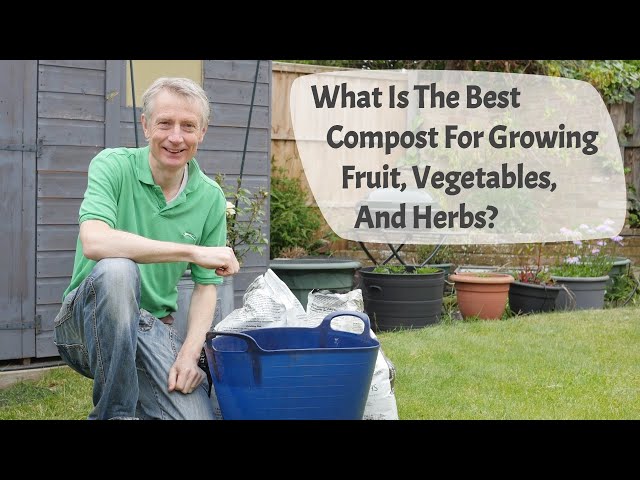 What Is The Best Compost For Growing Fruit, Vegetables, And Herbs? A Complete Guide To Ingredients.