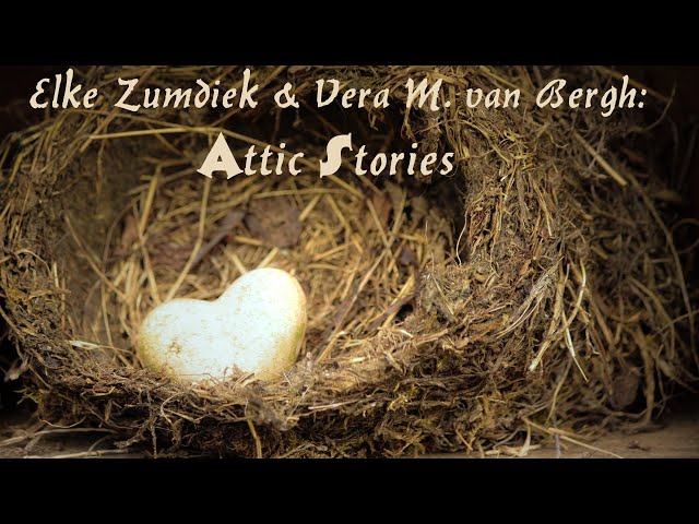 Attic Stories by Elke Zumdiek & Vera M. van Bergh