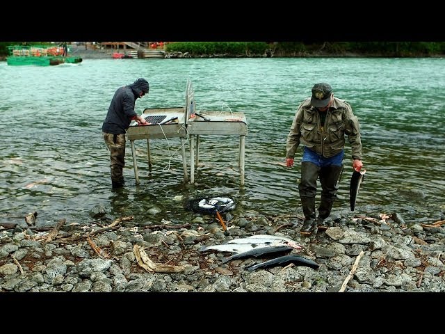 Combat fishing on Alaska's Kenai Peninsula