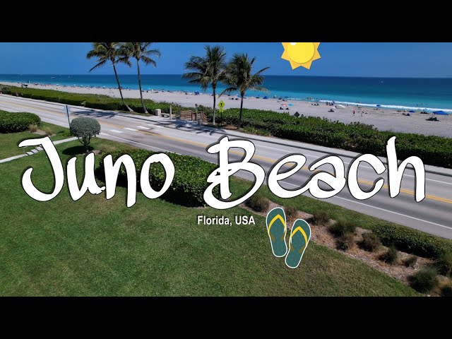 Heavenly Bliss awaits at Juno Beach, Florida USA [4K] 😎🌴