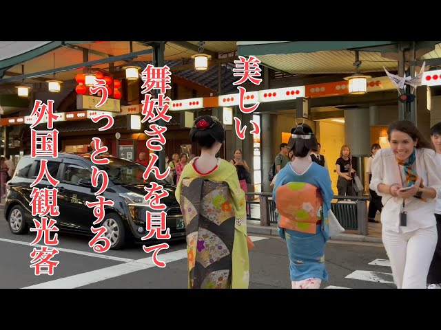京都祇園 美しい舞妓さんを見てうっとりする外国人観光客 Geisha and Maiko in Gion, Kyoto 【4K】