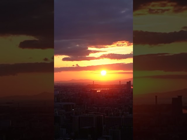 🌅Golden Hour Sunset at Umeda Sky Building #shorts