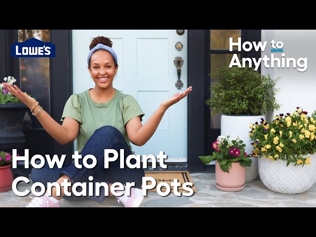How to Plant Container Pots | How To Anything