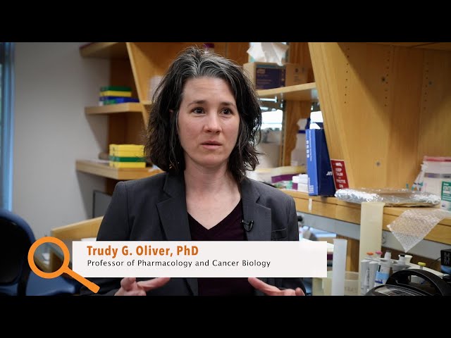 MAGNIFY: Duke researcher tracks deadly shapeshifting cancer tumor