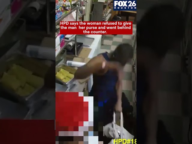 Caught on camera: Woman beaten during attempted robbery