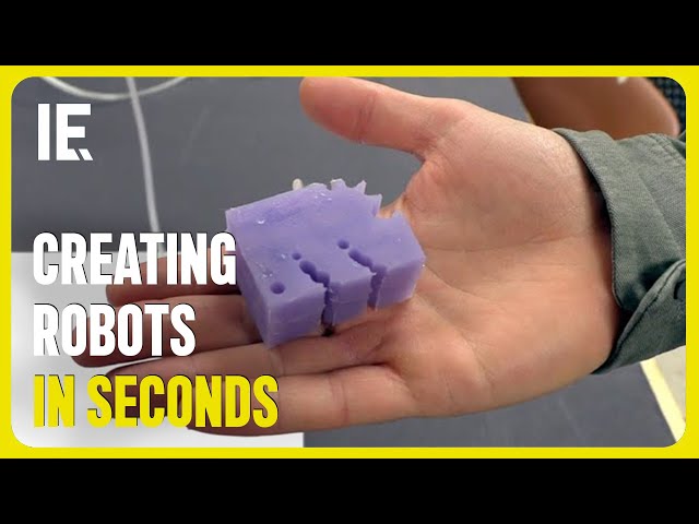 AI Creates Robots from Scratch in Seconds