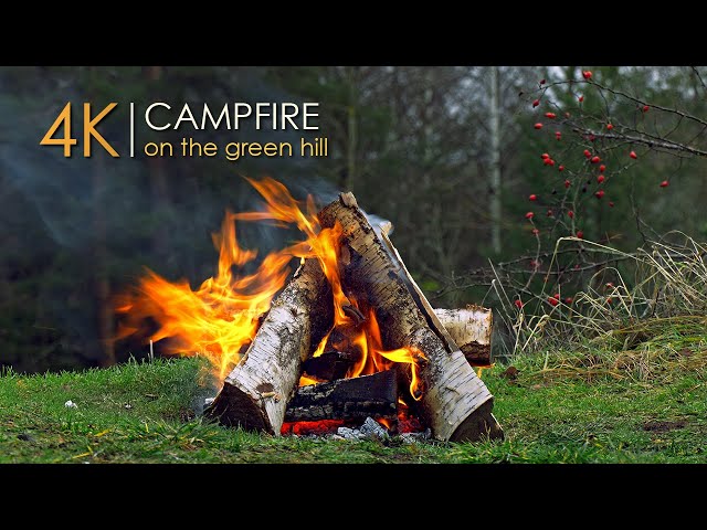 Campfire on a Green Hill ⛰️ Authentic Sounds & Natural Relaxation