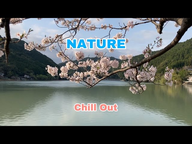 Beautiful Relaxing Nature, Ambient Calm Music for Stress Relief